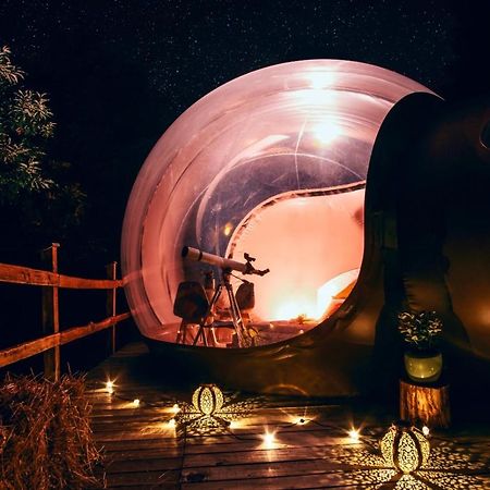 Sant'Orsola Maso La Marianna Bubble Glamping In Trentino Bed & Breakfast エクステリア 写真